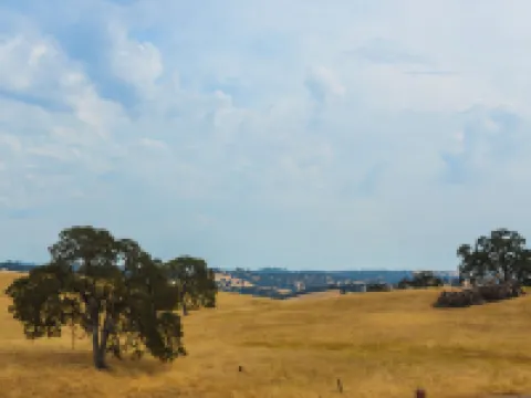 橡樹嶺旅館 阿馬多爾縣酒店