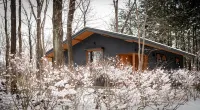 Nold forest house - 2星級