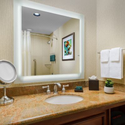 1 King Bed Pool View Balcony W/Sofa Bed Hilton Phoenix Airport Promo Code