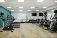 Holiday Inn Express RICHMOND - MIDTOWN by IHG - Gym