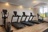 Hotel Vallea Bromont, Tapestry Collection by Hilton - Phòng Gym