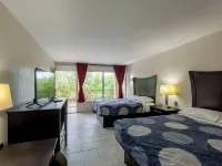 Executive Inn Beeville US 181 by Capital O Hotels in Beeville
