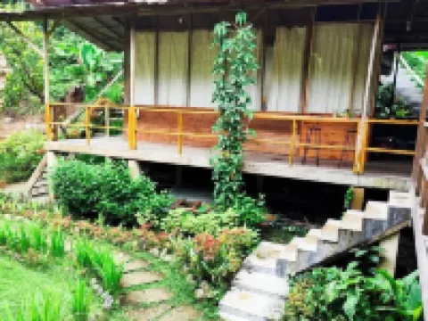 Bua Guest House Tangkahan Hotels in Langkat Regency
