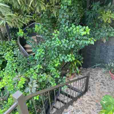 Paradise Awaits! Beach Bliss & Wildlife Thrills – Only 10 Minutes Away! Sleeps 3 Hotel Exterior