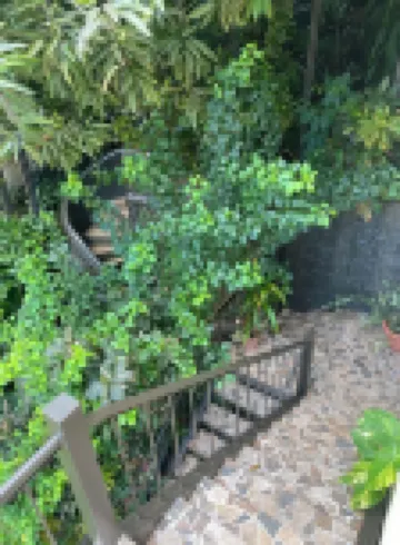 Paradise Awaits! Beach Bliss & Wildlife Thrills – Only 10 Minutes Away! Sleeps 3