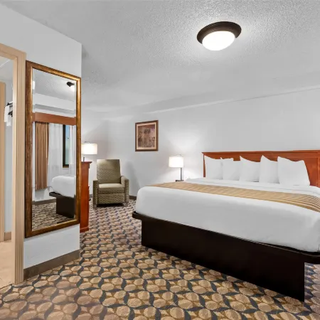 Best Western Vista Inn at the Airport