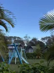 Rangi Moana - Wifi