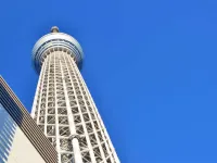相鉄フレッサイン 新橋日比谷口 東京のホテル