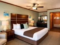 Mountain View Lodge - balcon