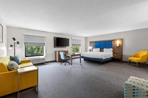 希爾頓歡朋套房飯店-曼斯費爾德南 - Wi-Fi