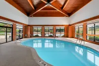 Spark by Hilton Staunton - Wifi