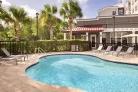 Residence Inn Tampa Suncoast Parkway at NorthPointe Village - Pool
