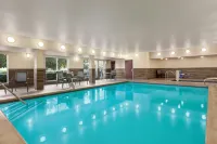 Fairfield Inn Visalia Sequoia - صديق للحيوانات الاليفة