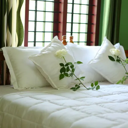 Wayanad Stay- the Coffee-Suite Отели рядом с достопримечательностью «Пещеры Эдаккал»