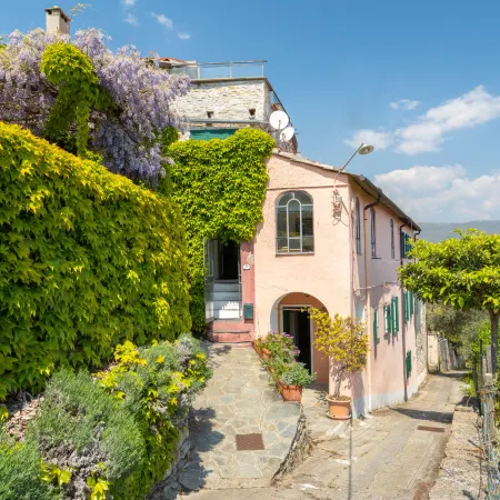 Bellissimi (Dol280)