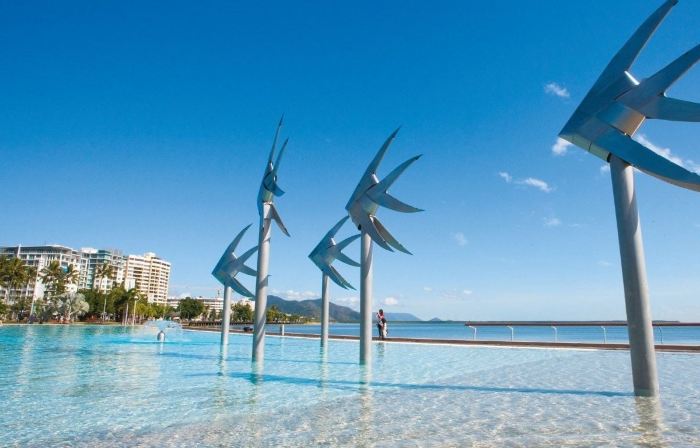 Cairns City Palms