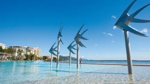 Cairns City Palms