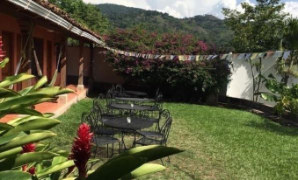 1. 이구아나 아술..