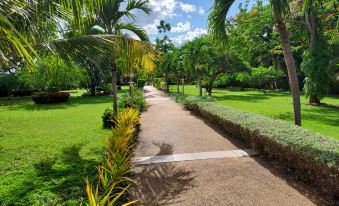 Welcome to Our Oasis the Beautiful Bungalow Yellow