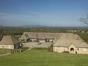 The Fish Hotel