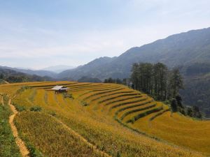 Indigenous Homestay- Trek- Food- Bus