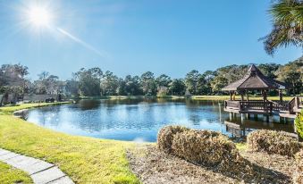 Evian Hilton Head Island