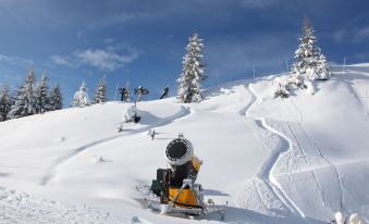 Muhlradl Apartments Gosau