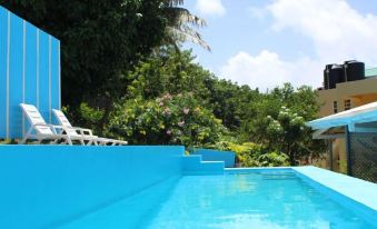 a blue pool surrounded by lush greenery , with a white chair placed near the edge of the pool at Hillside Apartments