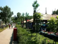 Hotel Queen Vera Hotel di Constanta