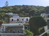 Black Market Hotel