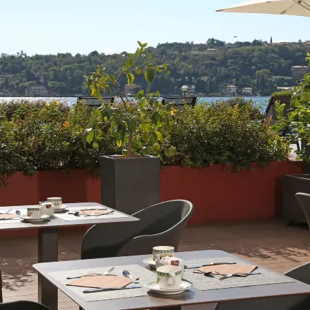 Hotel Salò du Parc
