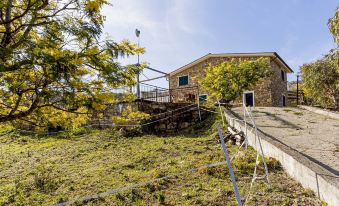 Agriturismo le Mimose