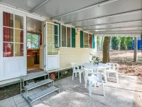 Belvedere Pineta Camping Village - Homestays