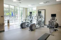 Hilton Garden Inn Tampa - Wesley Chapel - salle de sport