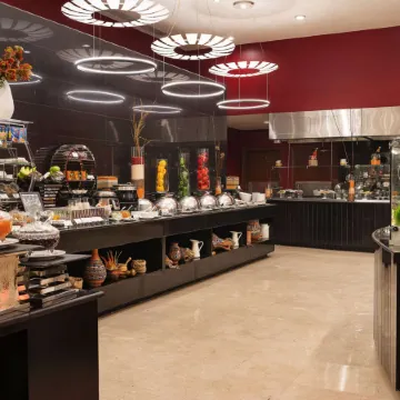 Steigenberger Hotel El Tahrir Cairo