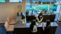 Cupertino Hotel - bar