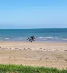 Seaside Holiday Apartments