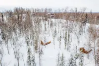 Birch Cabin Hotels in Talkeetna