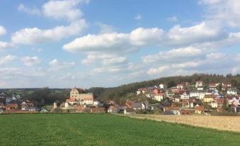 Hotel Zur Gold'nen Krone - Housity