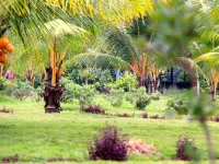 Grande Bay Resort and Spa Mamallapuram Hotels in Mahabalipuram
