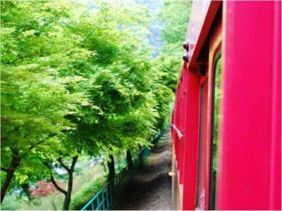 ホテル周辺 サンメンバーズ京都嵯峨の写真