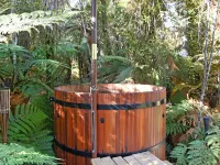 Aspen Court Franz Josef