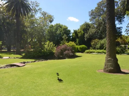 Clifton Motel Отели рядом с достопримечательностью «Albury Town Hall»