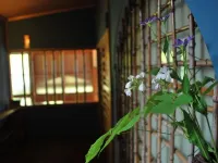 雪つばきの宿古澤屋