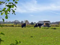 "Bjarke" - 200m from the Sea