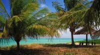 Chales Maragogi