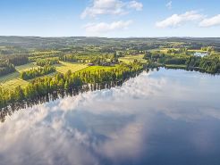 Tuomaantupa