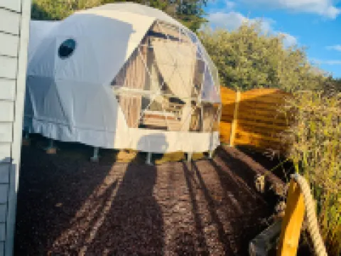 Time Stops Here at Home