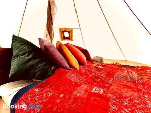 Tent Delhi a b&b in a Luxury Glamping Style