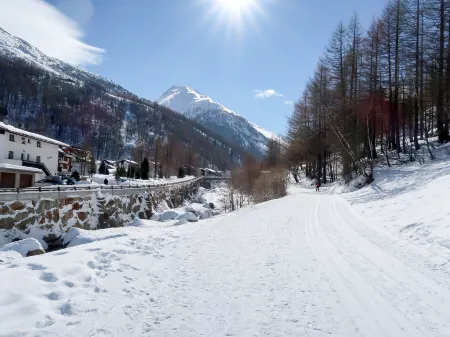 Haus Arizona Отели в г. Saas-Almagell